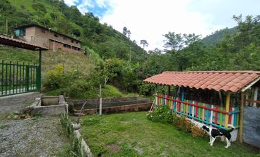 FINCA EN VENTA EN FILADELFIA-CALDAS