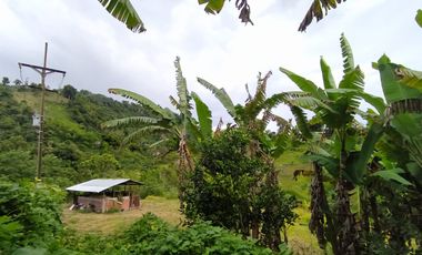 FINCA EN VENTA EN FILADELFIA-CALDAS
