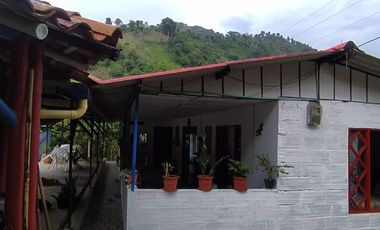 FINCA EN VENTA EN FILADELFIA-CALDAS