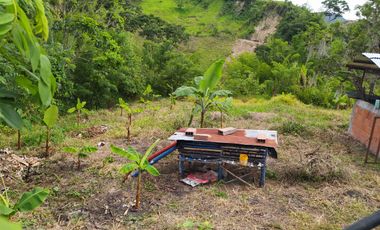 FINCA EN VENTA EN FILADELFIA-CALDAS
