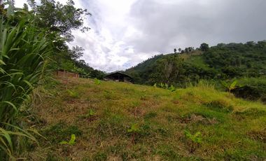 FINCA EN VENTA EN FILADELFIA-CALDAS