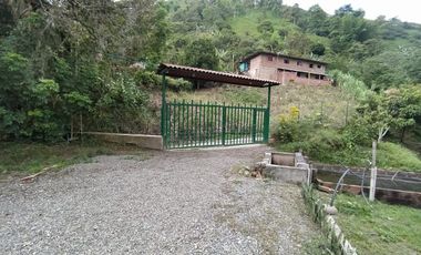 FINCA EN VENTA EN FILADELFIA-CALDAS