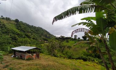 FINCA EN VENTA EN FILADELFIA-CALDAS
