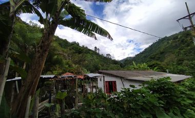 FINCA EN VENTA EN FILADELFIA-CALDAS