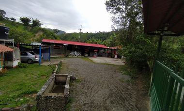 FINCA EN VENTA EN FILADELFIA-CALDAS