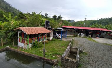 FINCA EN VENTA EN FILADELFIA-CALDAS