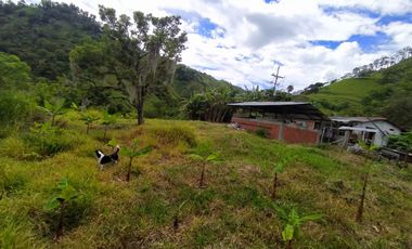 FINCA EN VENTA EN FILADELFIA-CALDAS