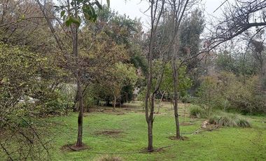 Sitio en Venta en Maria Monvel 1919