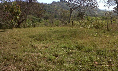 TERRENO DE 2.752M2 CON CASA  EN CAÑAS GORDAS CHIRIQUI