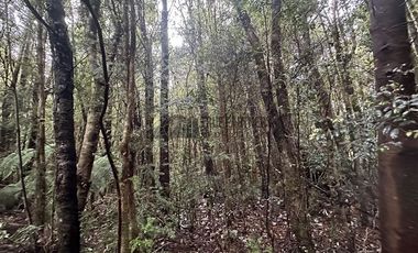 Parcela en Venta en Chamiza. Loteo Los Alerces de Lauca