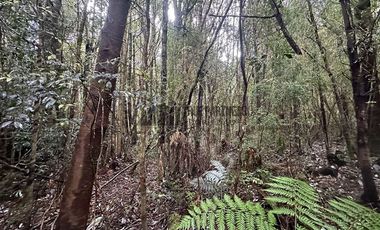 Parcela en Venta en Chamiza. Loteo Los Alerces de Lauca