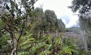 Parcela en Venta en Chamiza. Loteo Los Alerces de Lauca