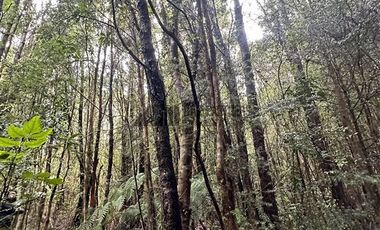 Parcela en Venta en Chamiza. Loteo Los Alerces de Lauca