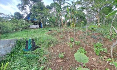 VENDO LOTE CON ARBOLES FRUTALES