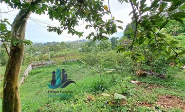 VENDO LOTE CON ARBOLES FRUTALES