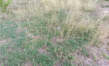 VENTA DE TERRENO MONTERIA, CORDOBA