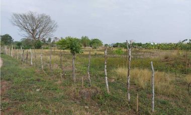 VENTA DE TERRENO MONTERIA, CORDOBA