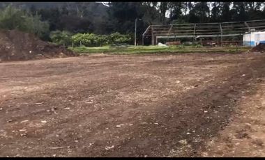 lote en arriendo en siberia. Cod A121390