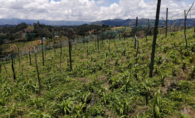 Venta de Lote  en San Vicente Sector las Hojas
