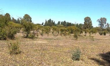 Casi una Hectárea! Venta Terreno de 8.500 m² en Bulnes