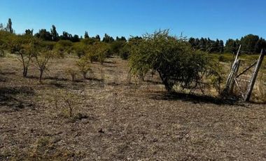 Casi una Hectárea! Venta Terreno de 8.500 m² en Bulnes