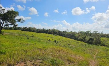 Se vende finca de 7 hectáreas en Las Yayas, La Chorrera