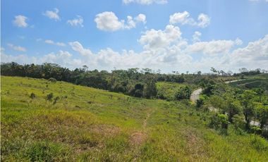 Se vende finca de 7 hectáreas en Las Yayas, La Chorrera