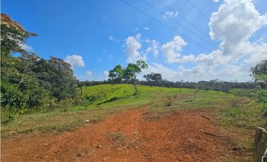 Se vende finca de 7 hectáreas en Las Yayas, La Chorrera