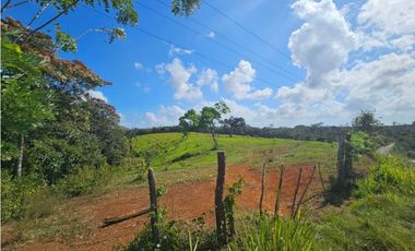 Se vende finca de 7 hectáreas en Las Yayas, La Chorrera