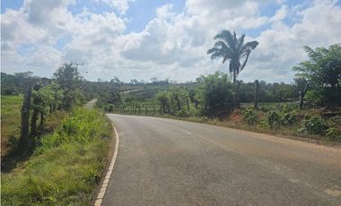 Se vende finca de 7 hectáreas en Las Yayas, La Chorrera