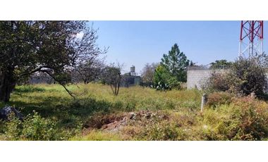 Ideal para desarrollo de vivienda en San Luis Teolocholco,Tlax.