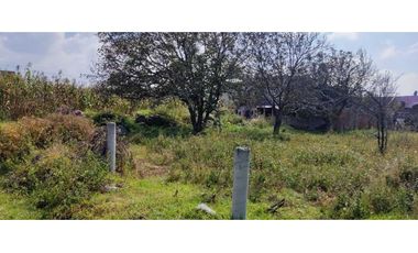 Ideal para desarrollo de vivienda en San Luis Teolocholco,Tlax.