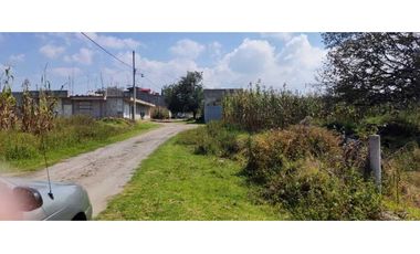 Ideal para desarrollo de vivienda en San Luis Teolocholco,Tlax.