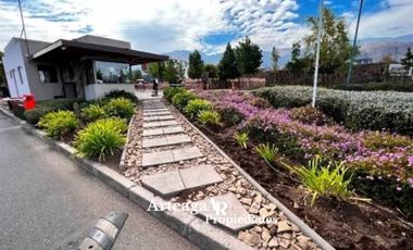 Los Ríos, Piedra Roja, Chicureo Oriente