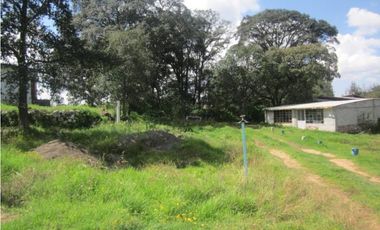 FINCA/RANCHO EN SAN MIGUEL DETHI