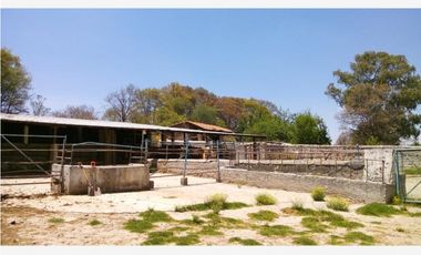 FINCA/RANCHO EN SAN MIGUEL DETHI