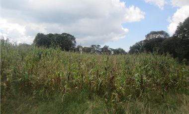 FINCA/RANCHO EN SAN MIGUEL DETHI