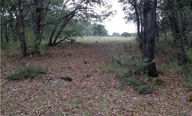 FINCA/RANCHO EN SAN MIGUEL DETHI