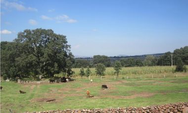 FINCA/RANCHO EN SAN MIGUEL DETHI