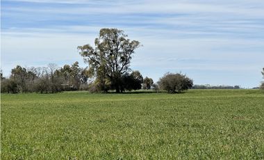 Campo en venta en Loma Verde. 59 Has mixto.