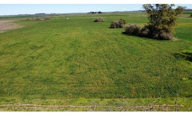 Campo en venta en Loma Verde. 59 Has mixto.