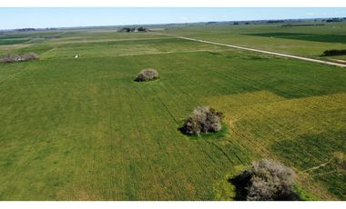 Campo en venta en Loma Verde. 59 Has mixto.