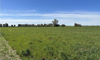 Campo en venta en Loma Verde. 59 Has mixto.