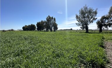 Campo en venta en Loma Verde. 59 Has mixto.
