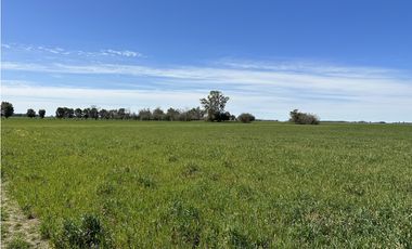 Campo en venta en Loma Verde. 59 Has mixto.
