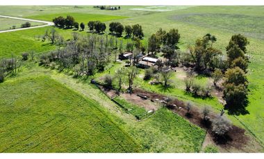 Campo en venta en Loma Verde. 59 Has mixto.