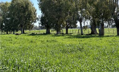 Campo en venta en Loma Verde. 59 Has mixto.