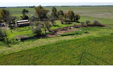 Campo en venta en Loma Verde. 59 Has mixto.