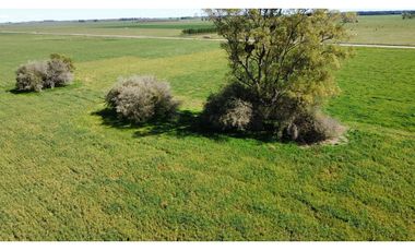 Campo en venta en Loma Verde. 59 Has mixto.