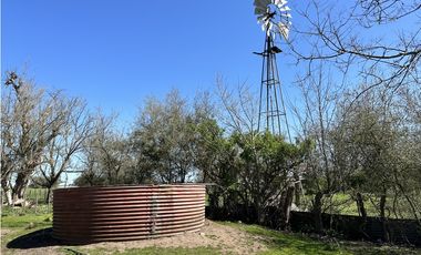 Campo en venta en Loma Verde. 59 Has mixto.